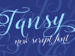 Tansy_00